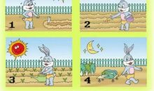 看图写话小白兔近视了