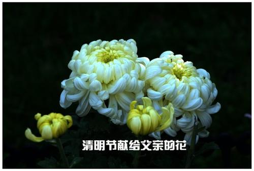 纪念清明节