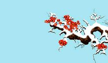 雪带给我的快乐