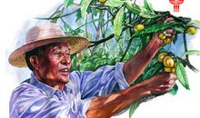 我们身边的好人读后感