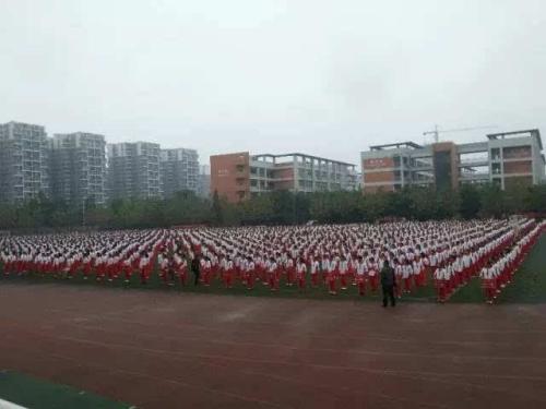 我充满激情的初中生活