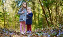 妹妹看上一朵花