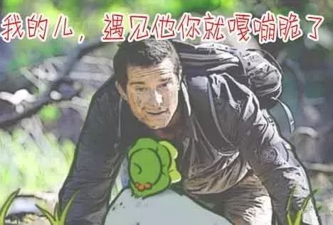 我的辣妈