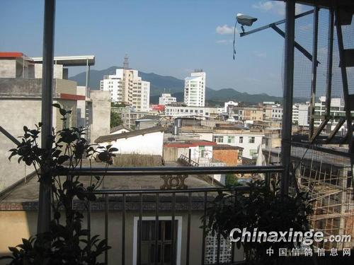 校园梦想的发源地