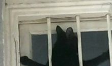 别躲在妈妈身后读后感