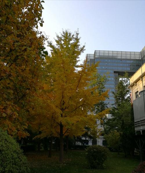校园漫步
