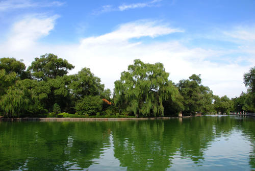 农村夏日风景