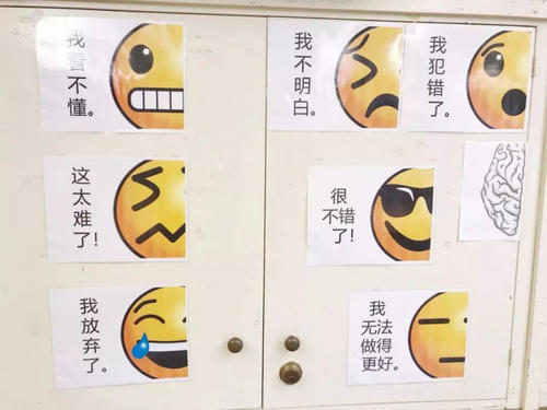 成长伙伴