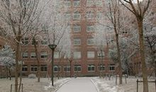 我爱冬天的校园