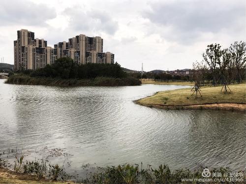 春天的仙林湖公园