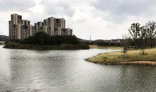 春天的仙林湖公园