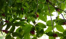 我的故乡——北山