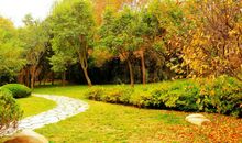 自然美才是真的美作文