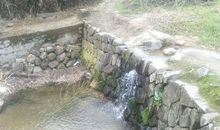 小溪一直在我身边