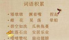 彩色的翅膀续写