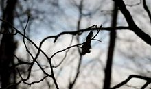 这样的画面让我留连