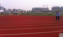 学校的操场作文400字