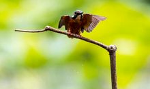 那一次我终于胜利了