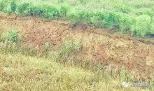 那儿让我燃起希望