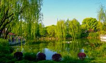 公园里的春夏秋冬