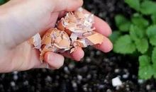 友情是一种养料