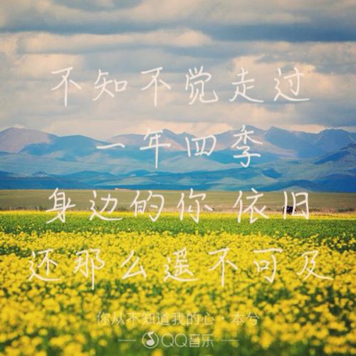 我经历的四个季节