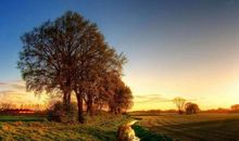 春风十里，不如读你