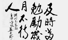 岁月不语任芬芳