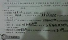 快乐的寒假生活作文