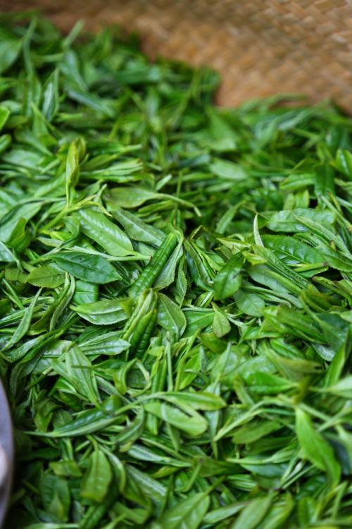 我看到了炒茶叶