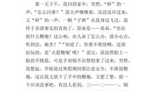 我眼中的阿尔焦姆作文