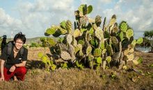 带上仙人掌去旅行
