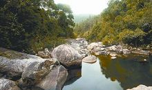 神秘莫测的森林王国