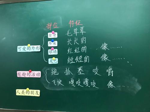 我想养一只小动物