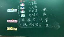 我想养的小动物写话