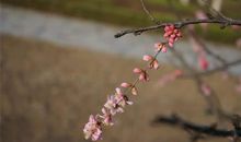 夸一夸边疆建设者