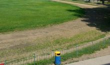 学校中的那一片绿