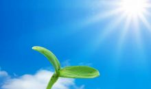 生命的价值读后感