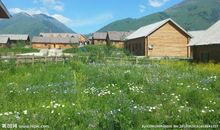 美丽又好玩的老家