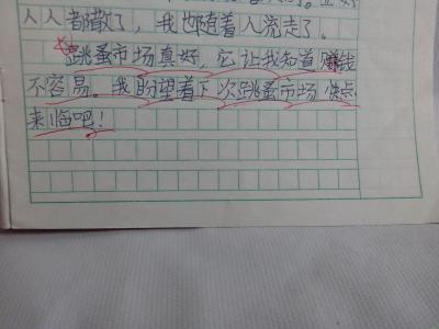 我最感激的人写了300个字