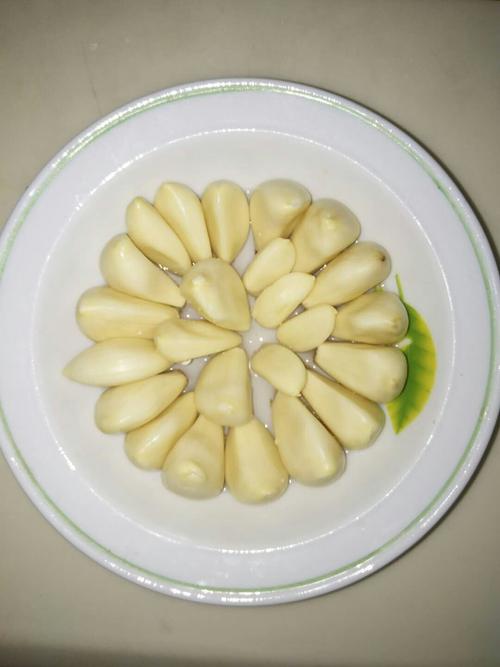 大蒜幼苗观察日记