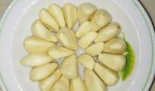 种蒜苗观察日记