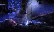 走进神秘森林王国