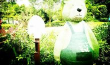 生活中的不经意