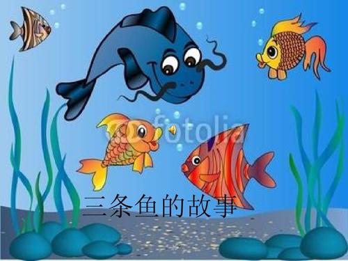 买鱼的故事