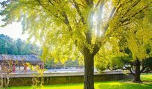 总有一种美值得感动