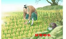 读《塞翁失马》有感