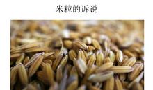 一秒告诉你六年级生活