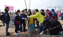 多彩的活动植树