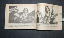 爱情与阴谋的故事_500字